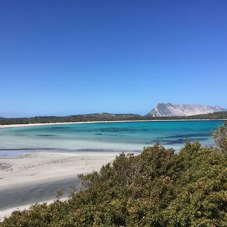 בית הארחה Da Tizy